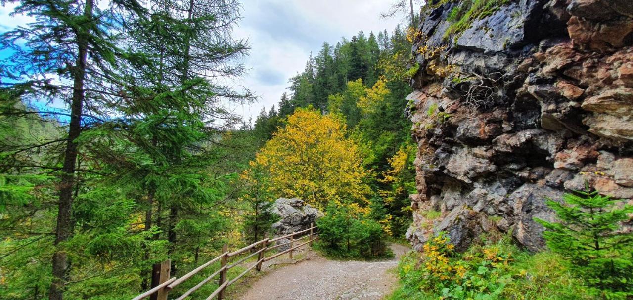 Drevenica Borovianka Villa Velke Borove Dış mekan fotoğraf