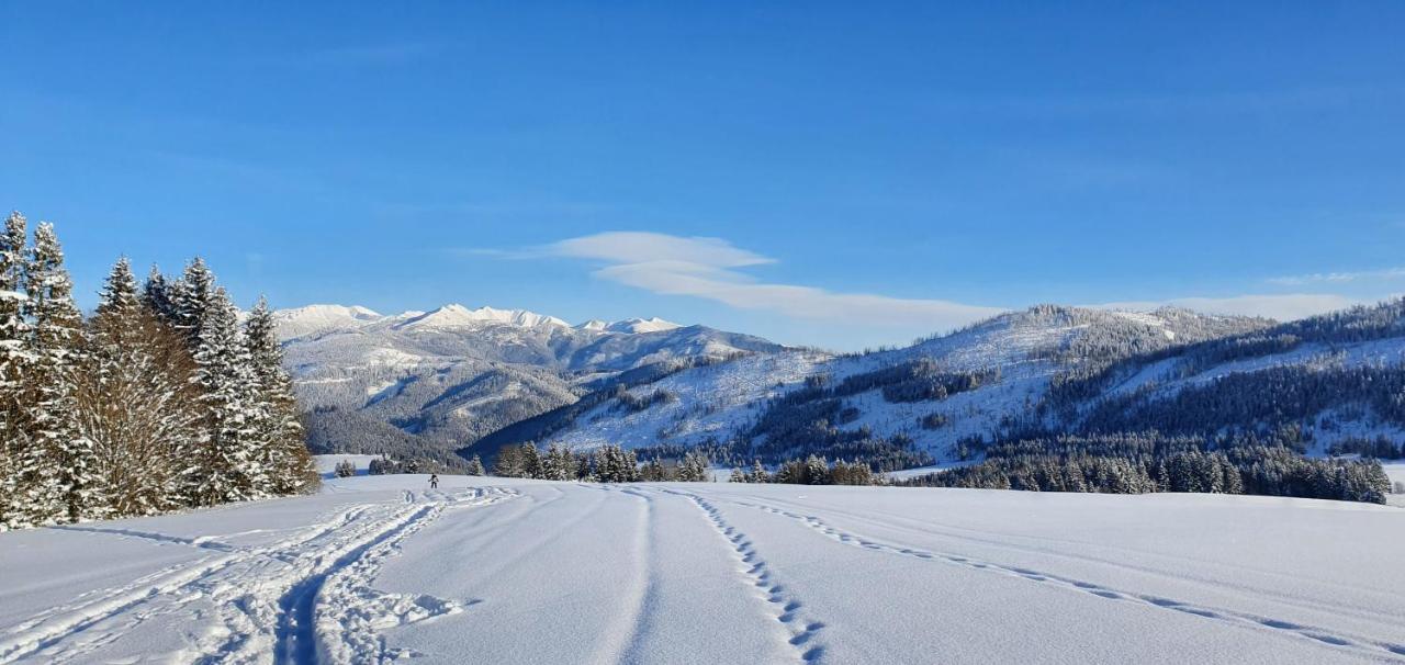 Drevenica Borovianka Villa Velke Borove Dış mekan fotoğraf