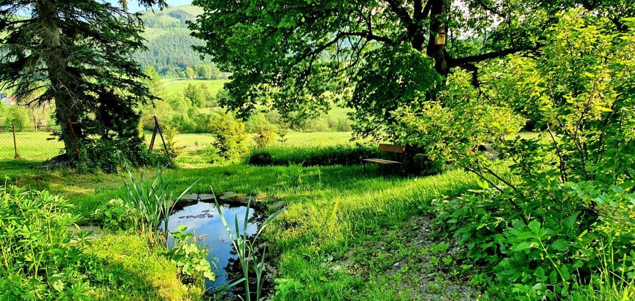 Drevenica Borovianka Villa Velke Borove Dış mekan fotoğraf
