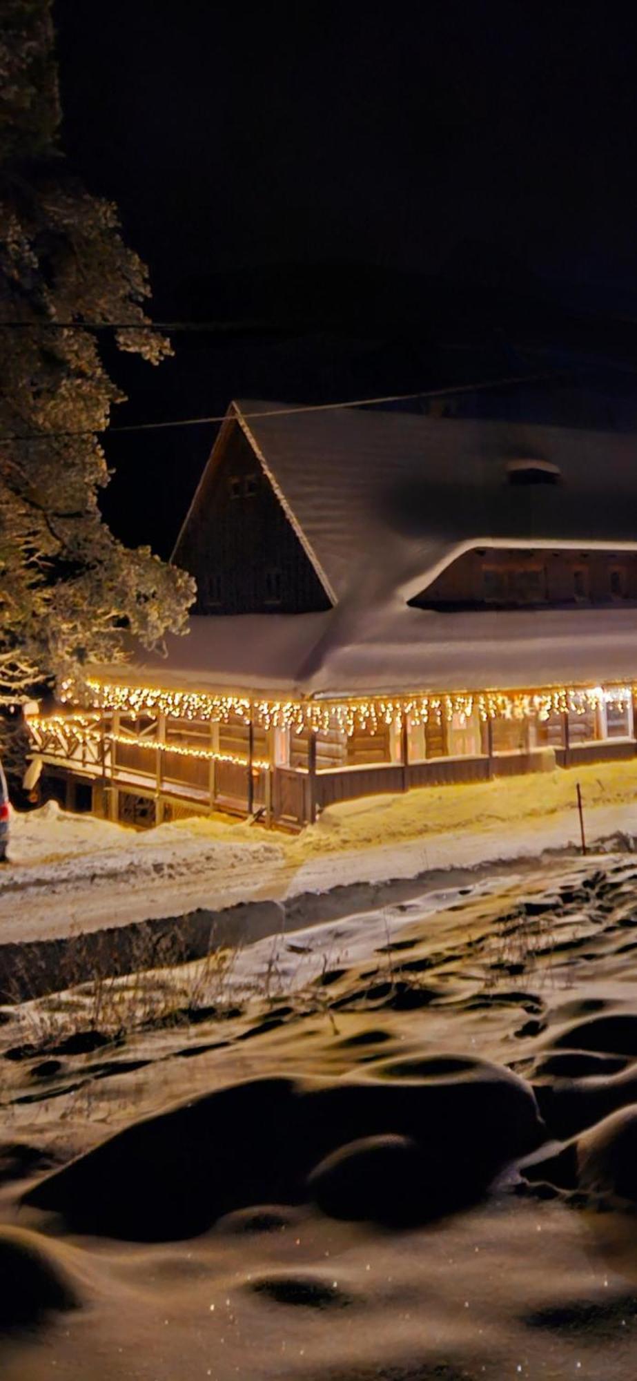 Drevenica Borovianka Villa Velke Borove Dış mekan fotoğraf