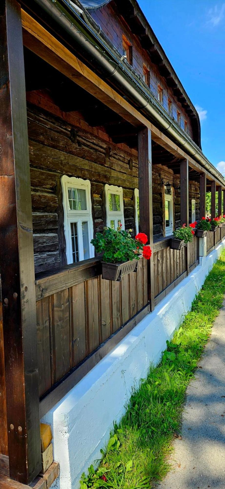 Drevenica Borovianka Villa Velke Borove Dış mekan fotoğraf